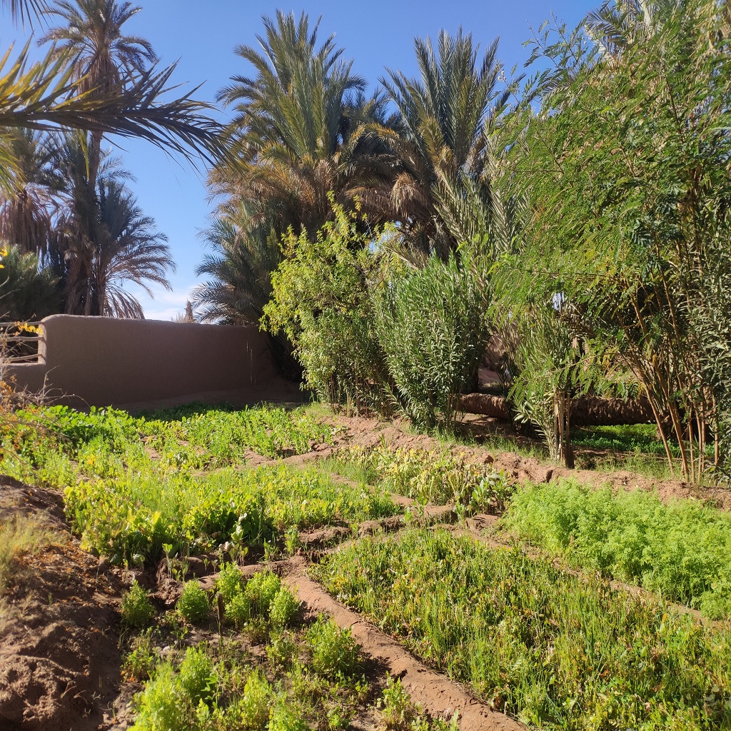 voyage astral maroc 12